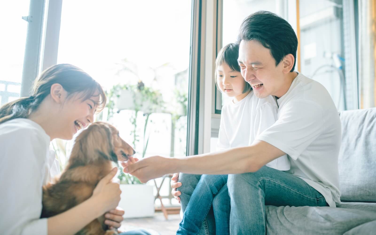 ペットとの暮らし