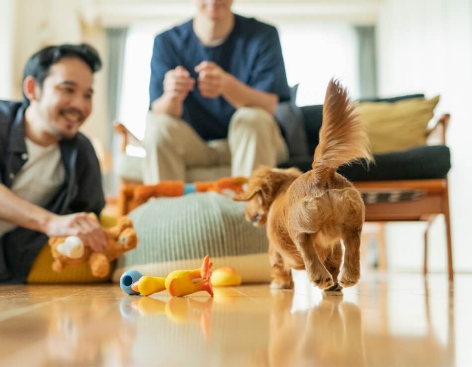 家族とのつながり