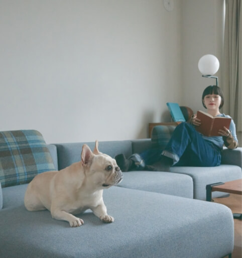 ペットとの暮らし