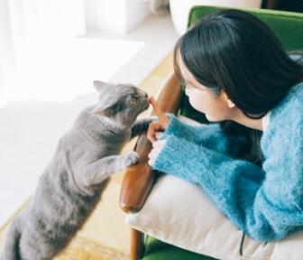 ペットとの暮らし