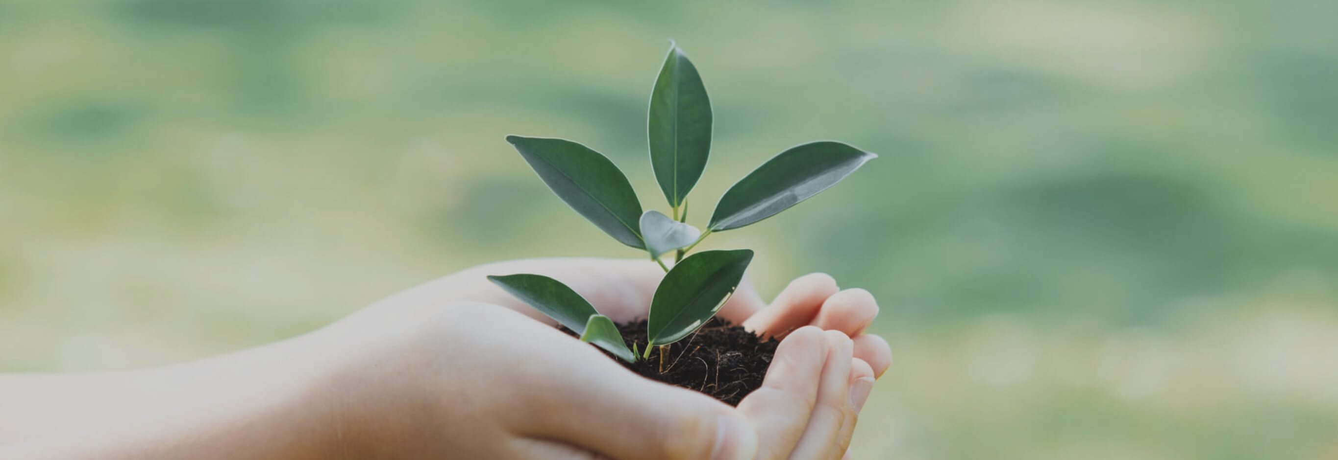 セレクトホームのSDGsのイメージ