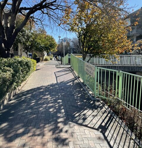 今日は出張ですぅ～