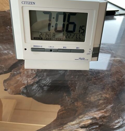 何だか疲れてます(´`)=3