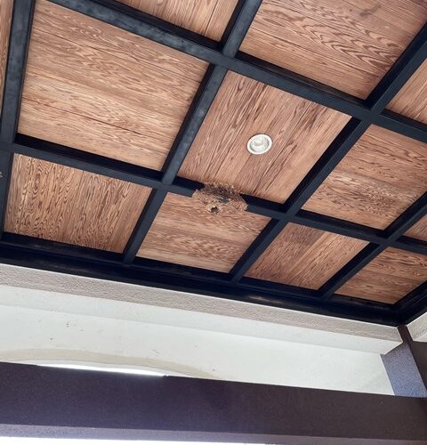 いよいよ？！いよいよですぅ～♪