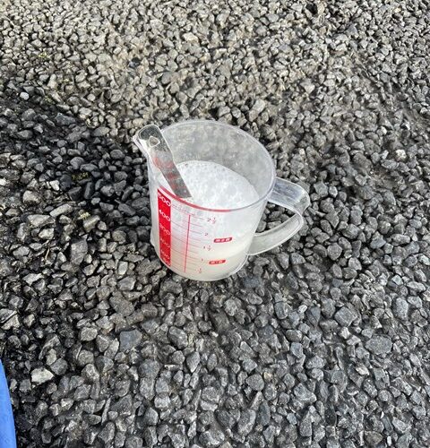 本日の定休日は、、、