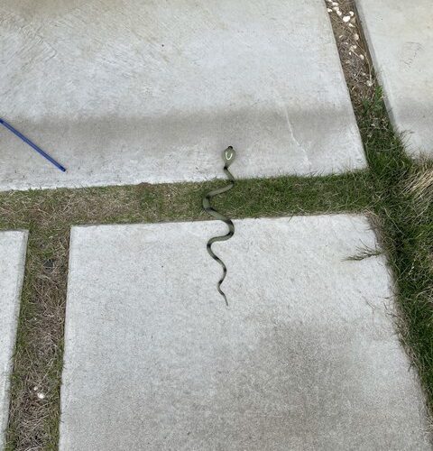 GW最終日！！！！！