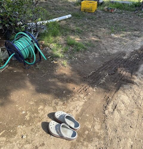 久しぶりの作業服～