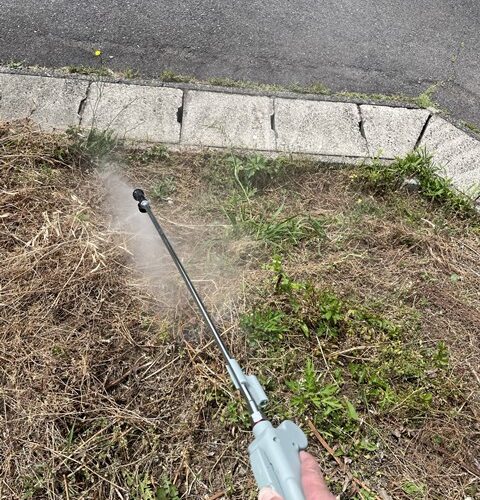 本日の定休日は、、、