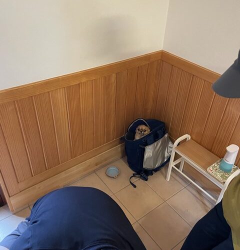 本気で詰めスギちゃん(;´▽｀A“