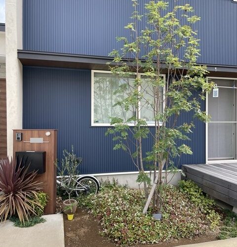 千葉スゲーっす！