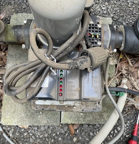 振りまわれスギちゃんｗ