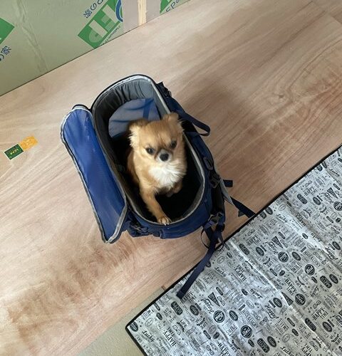 ちょーPANちゃんです🤯