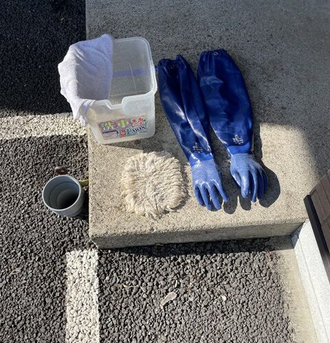 本日の定休日は、、、