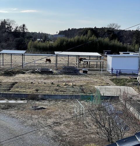 キレイな格好して上ってます(;´Д｀)