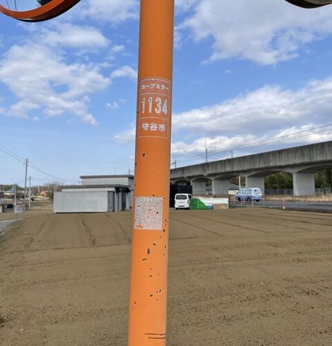 ワンワンニャンニャン言われますた(;´∀｀)