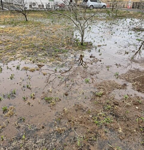 思ってたより水はけが、、、