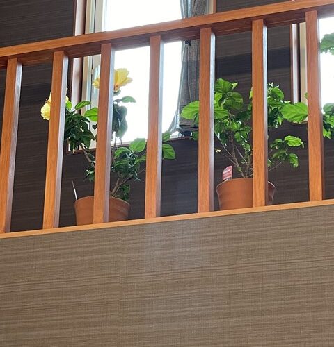 いよいよ変わります✨