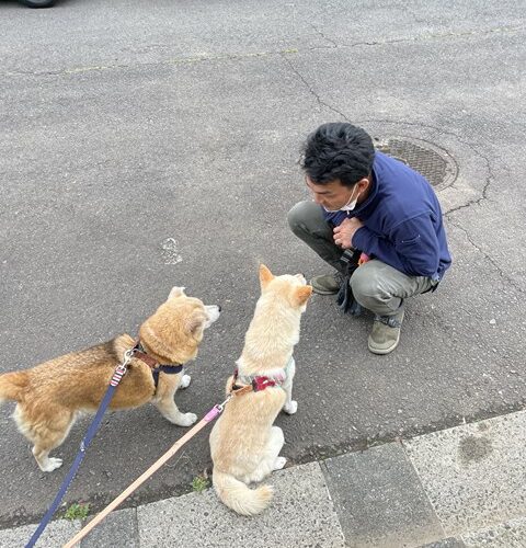 見下されている(´▽｀)