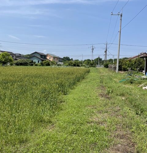 本日の定休日は、、、