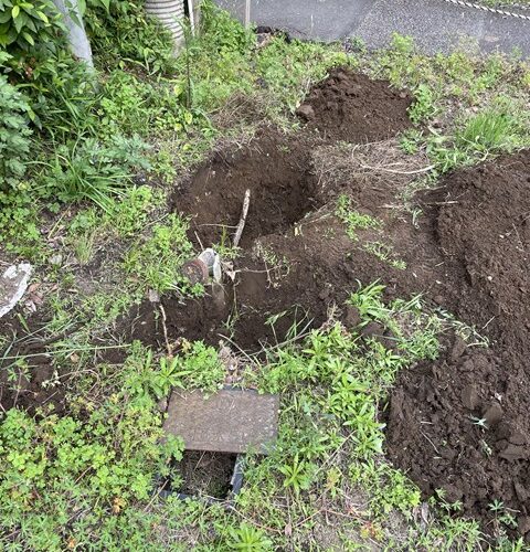 お宝を見つけた気分だわ✨