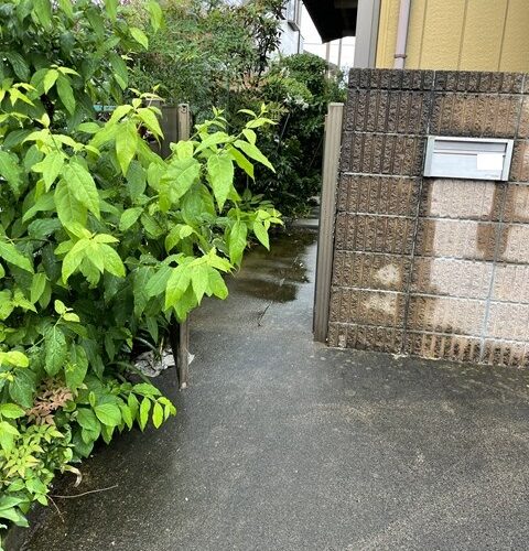 片付いて来たかしら🙄