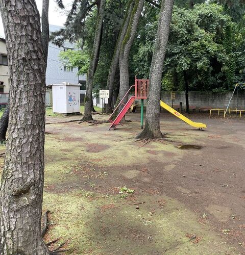 終盤になって知りました😵