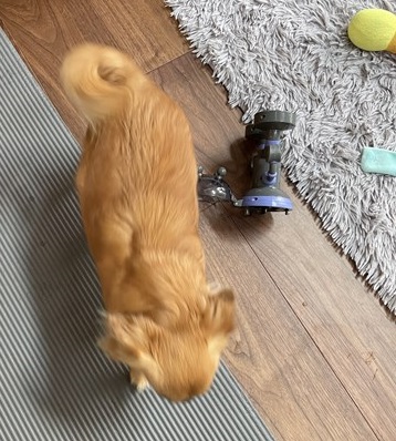 久しぶりのYちゃん💖