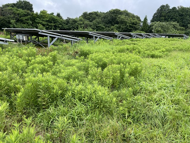 本日の定休日は、、、