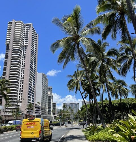 シャチョーの夏休み1日目✨