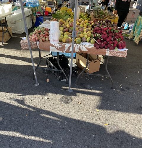 シャチョーの夏休み5日目✨