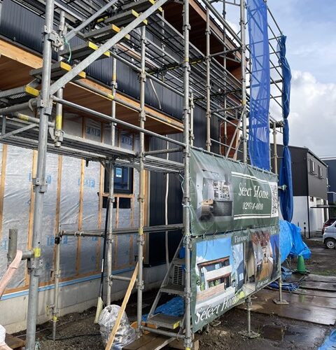 だっこ出来てる？