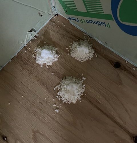 Y様おめでとうございます！！