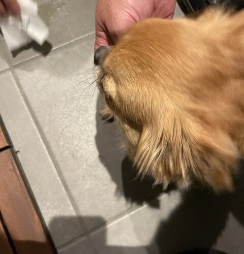 元気だった？😆