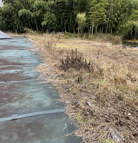 本日の定休日は、、、