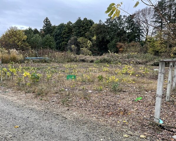 勘が冴えてるぅ～♪