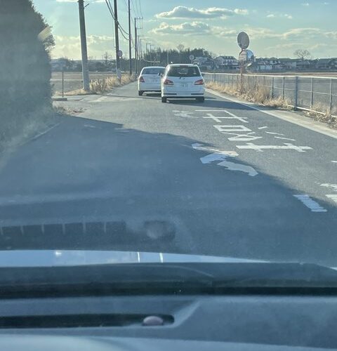 メッチャあおってる(;・∀・)