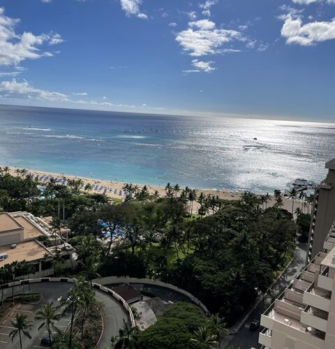 シャチョーの冬休み1日目！