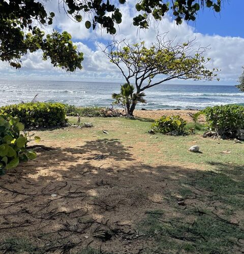 シャチョーの冬休み最終日！！