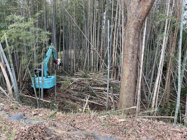 やっぱ専門業者さんはスゲーわ🤩