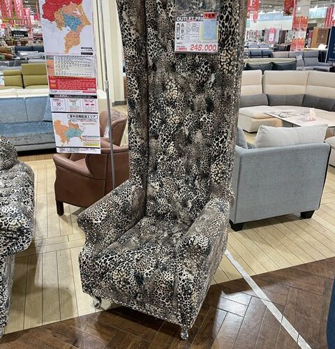 本日の定休日は、、、