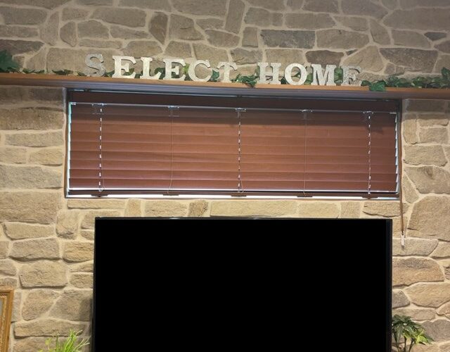 本日の定休日は、、、