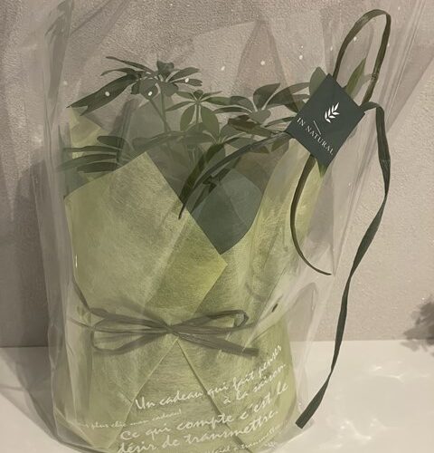 ココ、ぼくんち😆