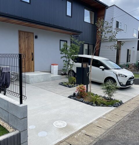 ドンドン増えますぅ⤴