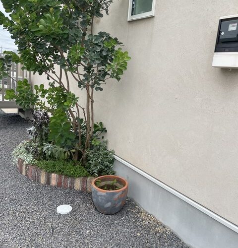 4年目ですが、、、