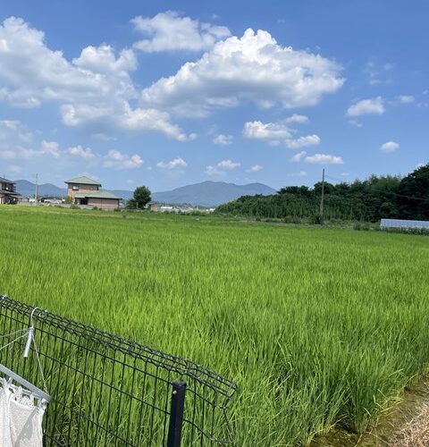 どこまで行くぅ～💦