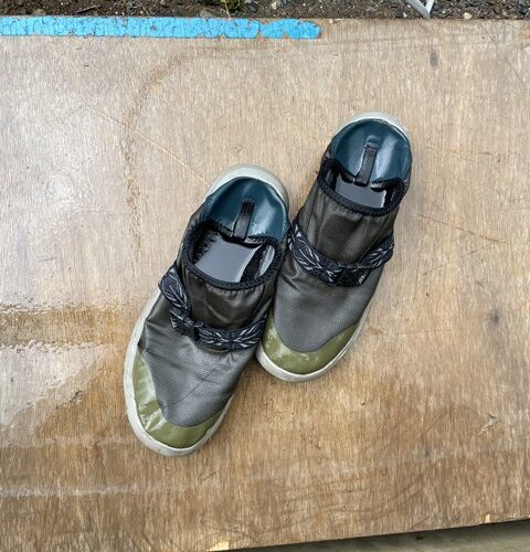 本日の定休日は、、、