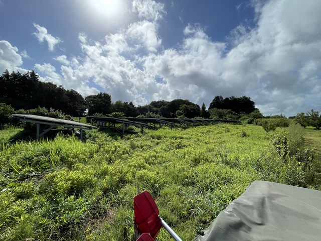 忘れてたよ(；´∀｀)