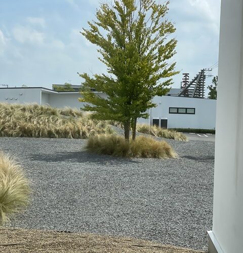 S様と水回りショールームツアー✨