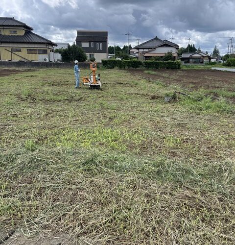 やっぱダメか😅