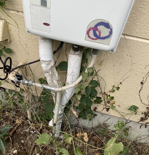 も、文字が(*_*;